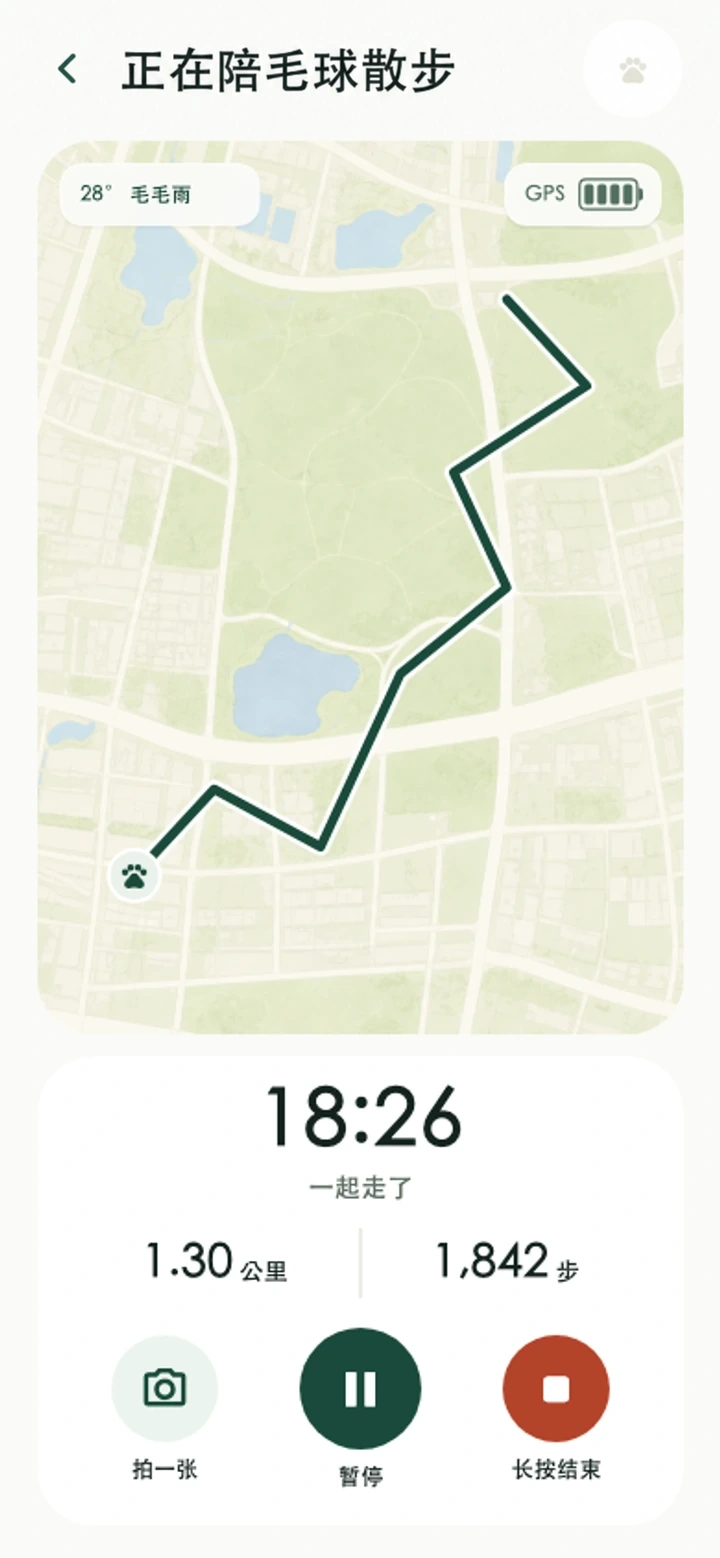 毛球 App 正在散步页面