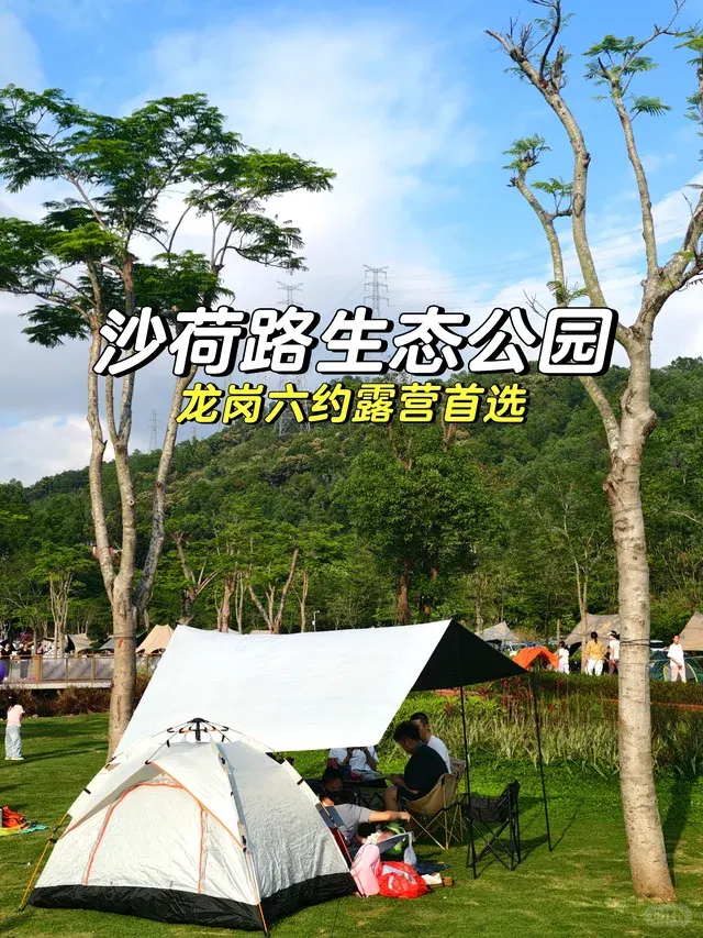 沙荷路生态公园的地点照片