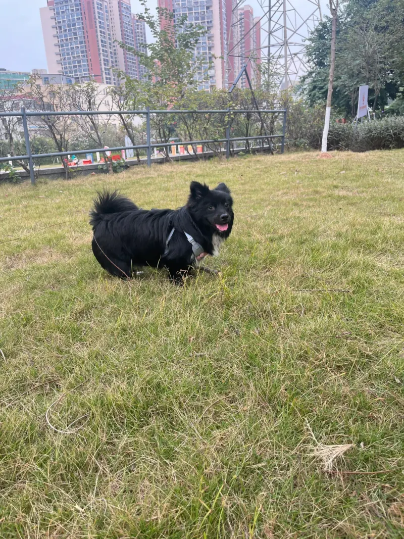 田背社区公园的地点照片
