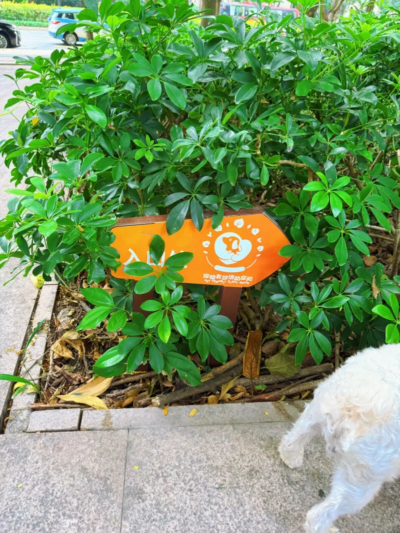 绿谷社区公园的地点照片