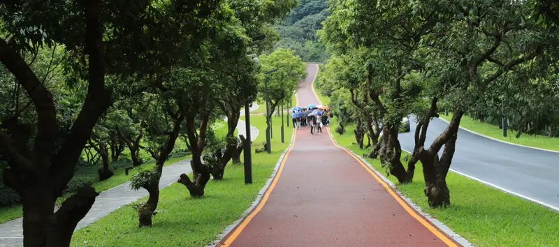 淘金山绿道的地点照片