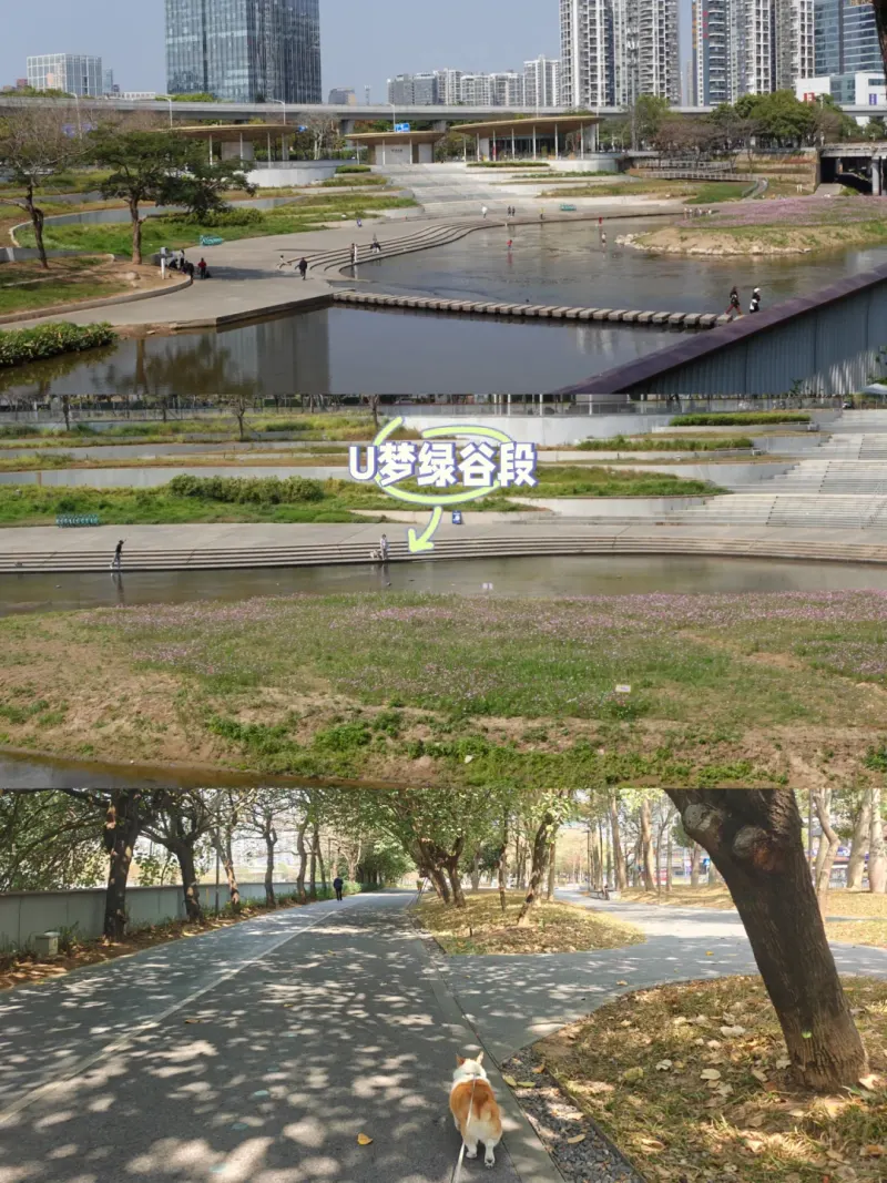 龙岗河干流宠物乐园的地点照片
