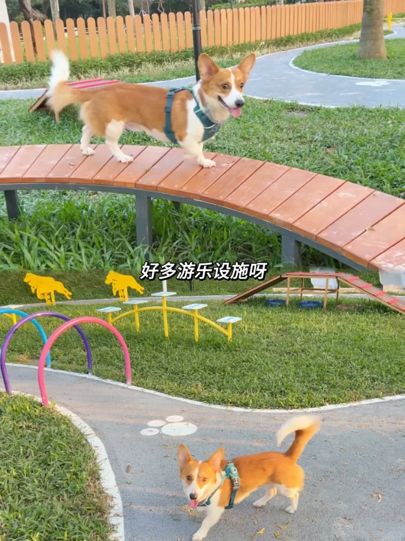 海关社区公园的地点照片