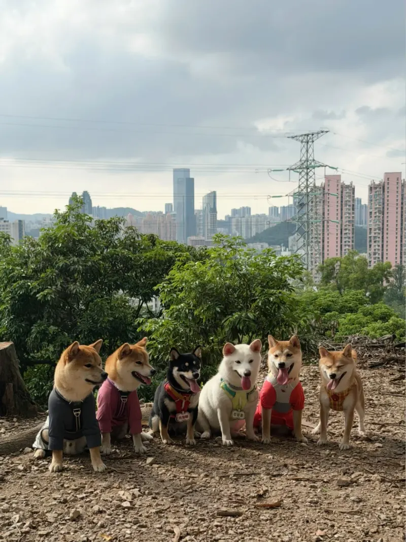 罗芳公园郊野径的地点照片
