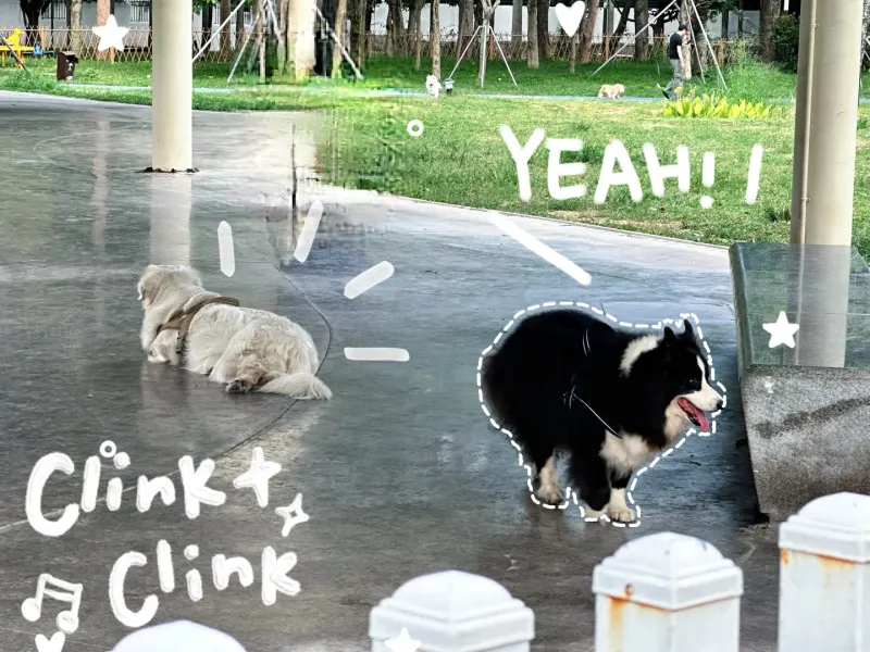 云曦萌宠绿地小游园的地点照片