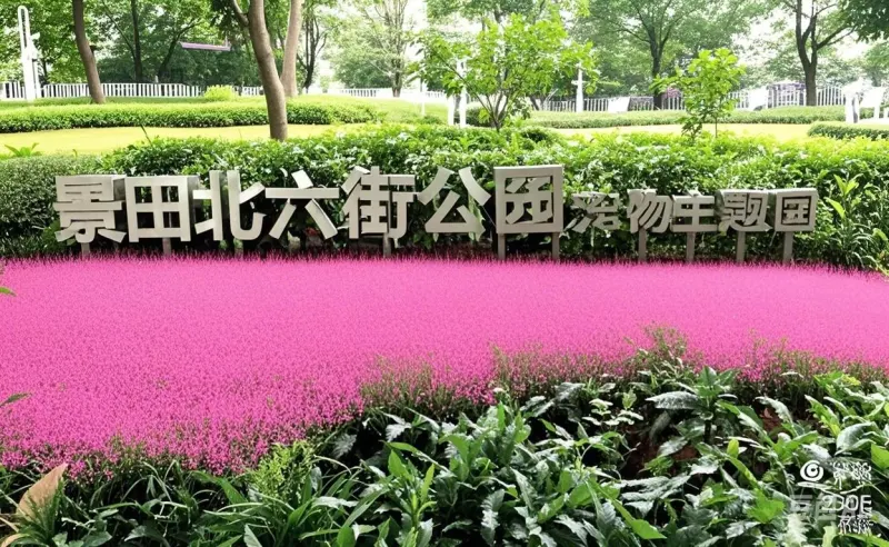 景田北六街公园宠物主题园的地点照片