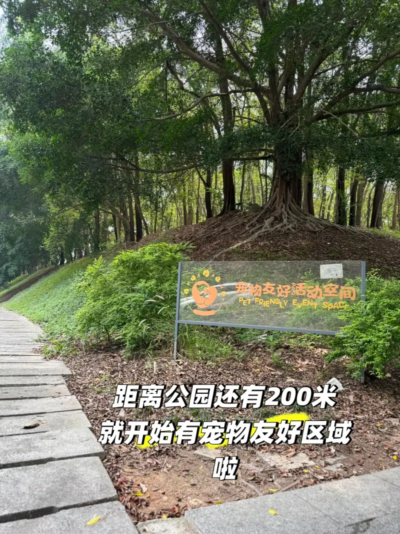 云曦萌宠绿地小游园的地点照片