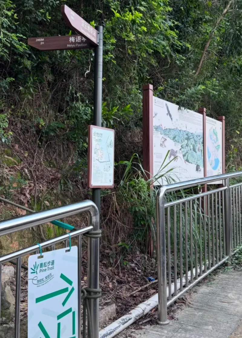 青松步道的地点照片