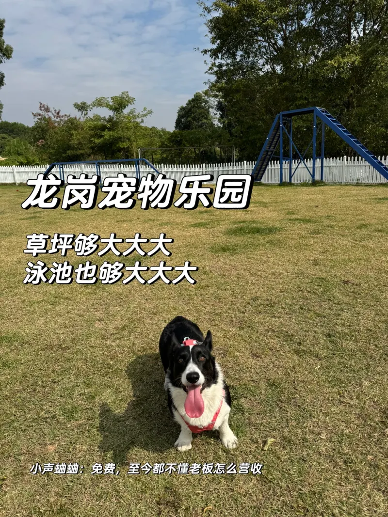 龙岗河干流宠物乐园的地点照片