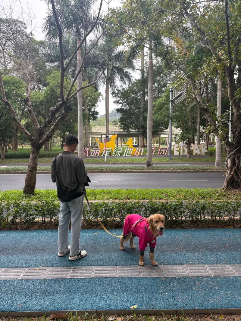 云曦萌宠绿地小游园的地点照片