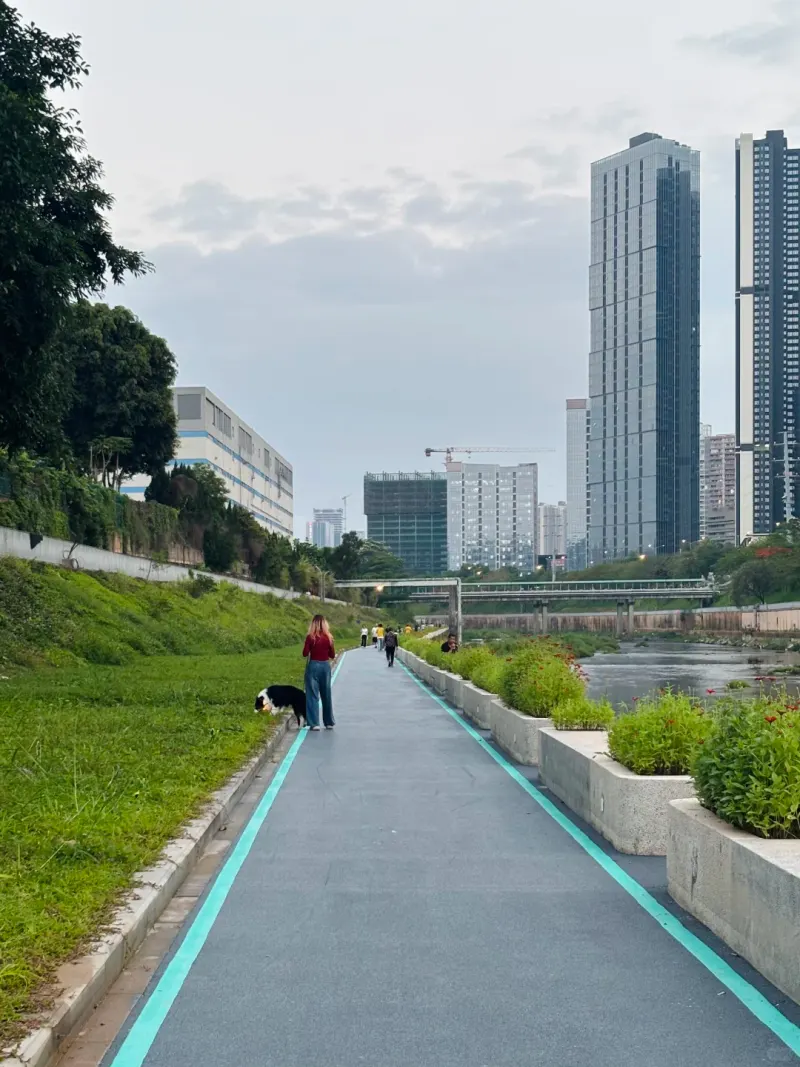 观澜河碧道·清湖附近的地点照片