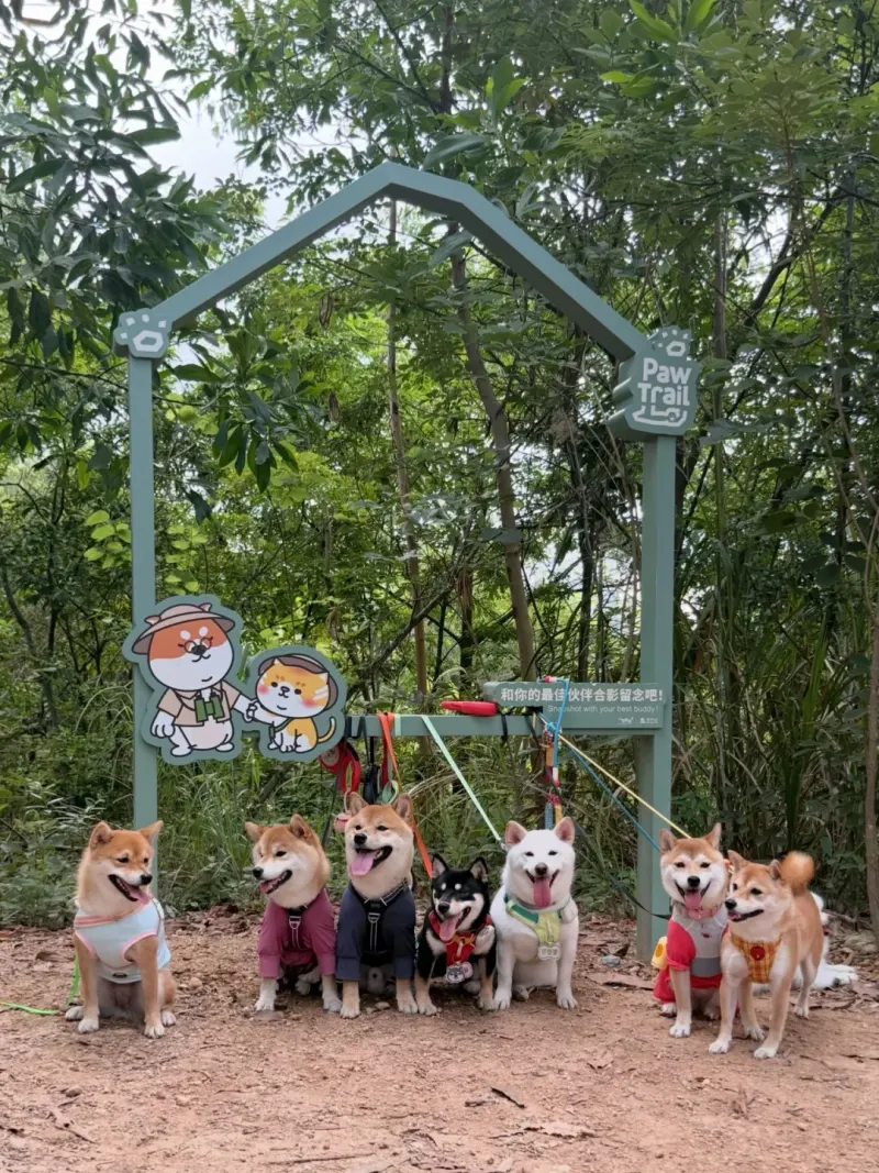 罗芳公园郊野径