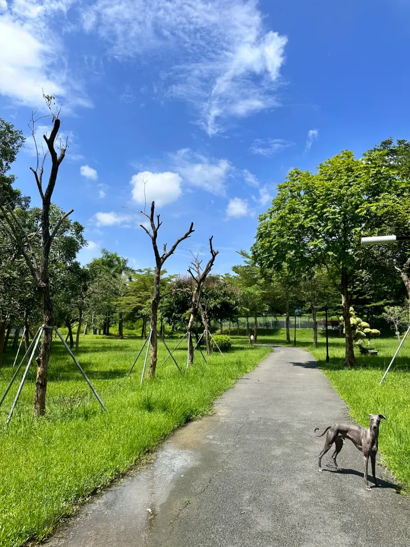 迳口社区公园的地点照片