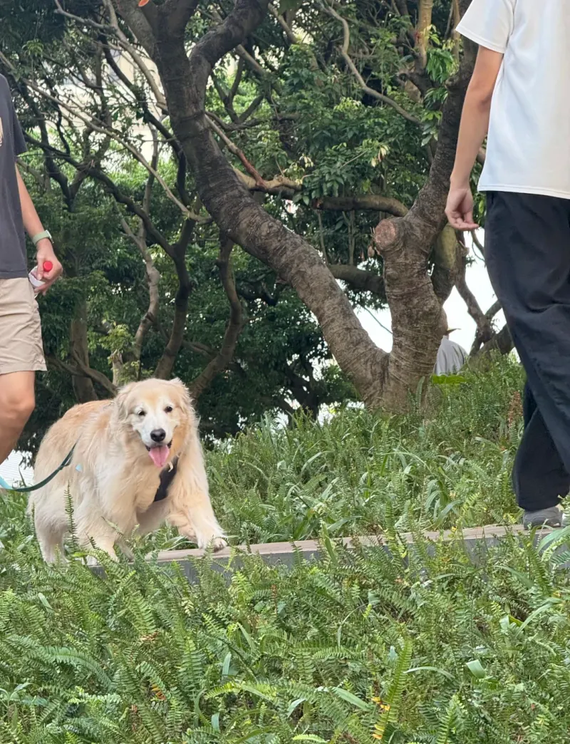 深圳罗山谷的地点照片