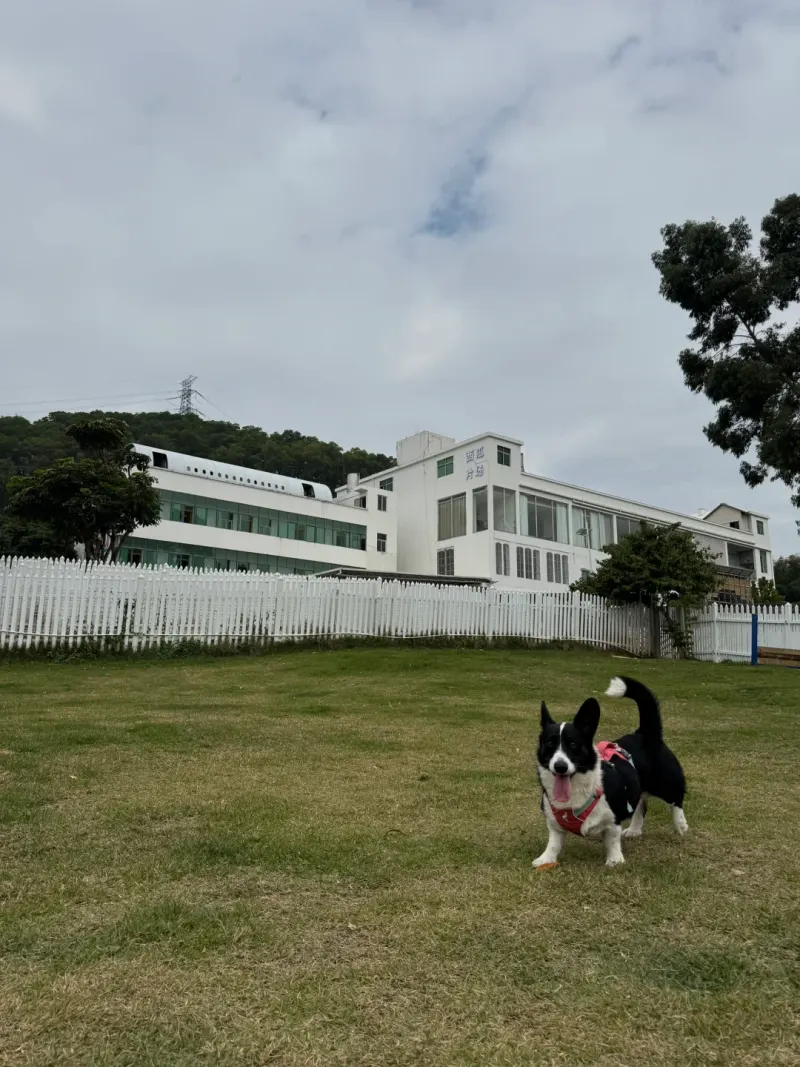 龙岗河干流宠物乐园的地点照片