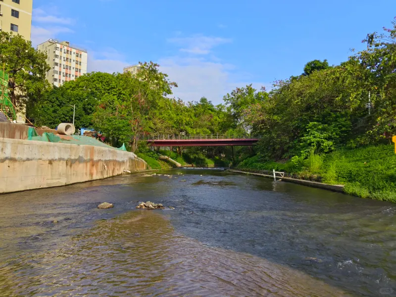 观澜河碧道·清湖附近的地点照片