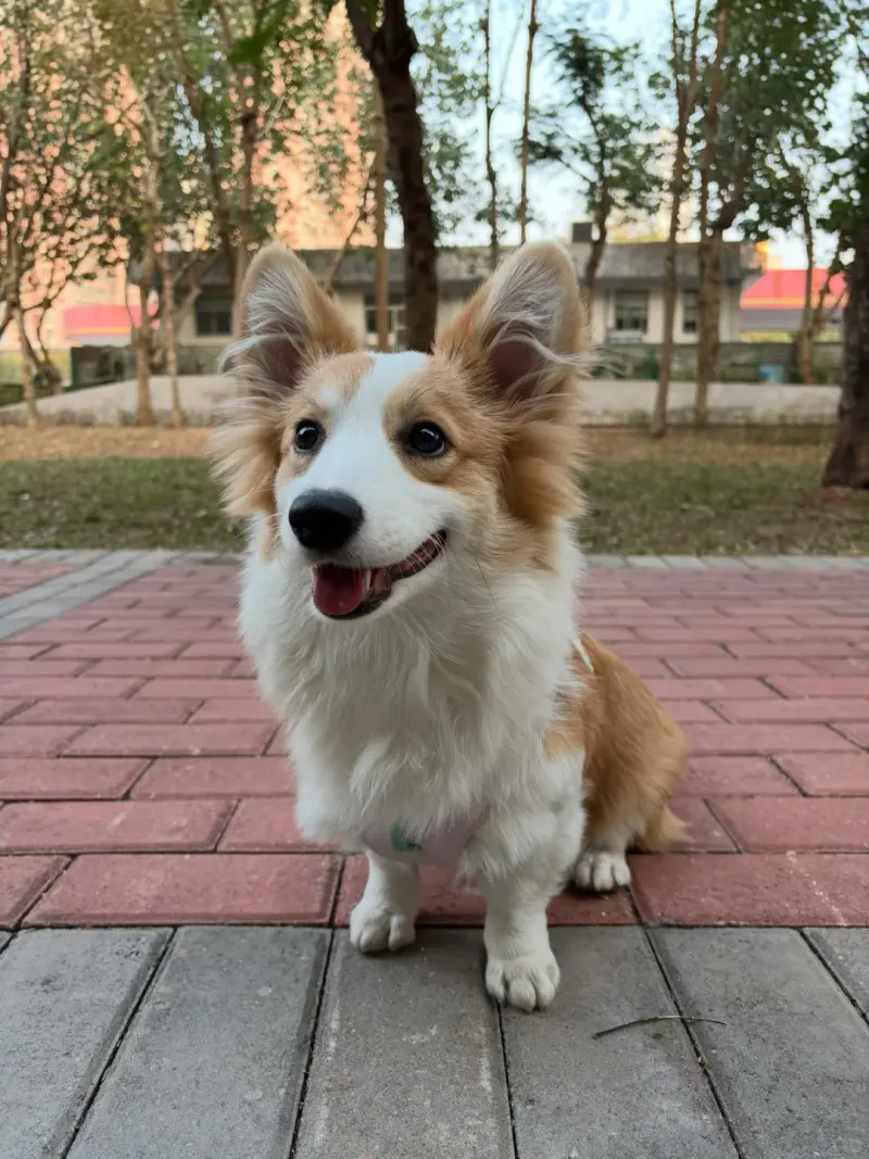绿谷社区公园的地点照片