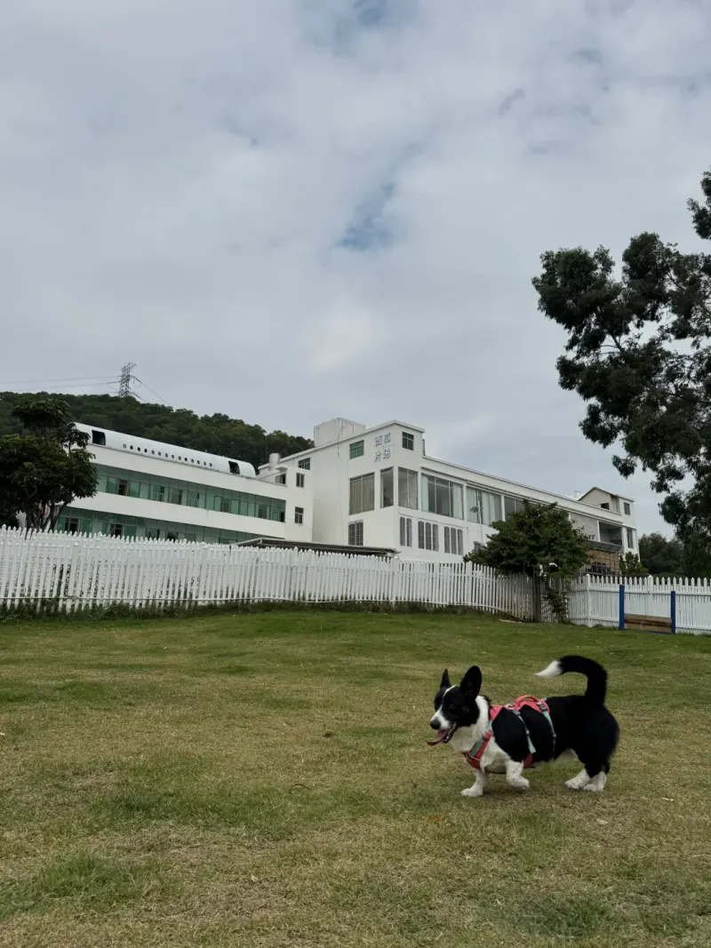 龙岗河干流宠物乐园的地点照片