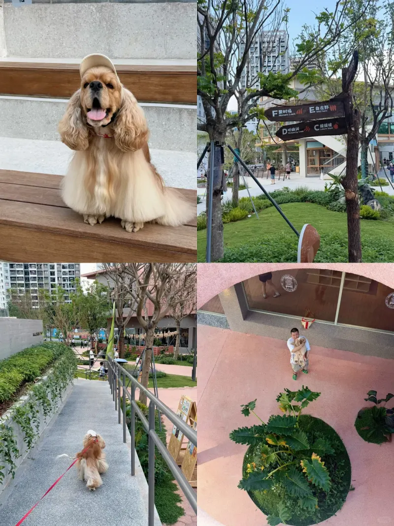 深圳罗山谷的地点照片