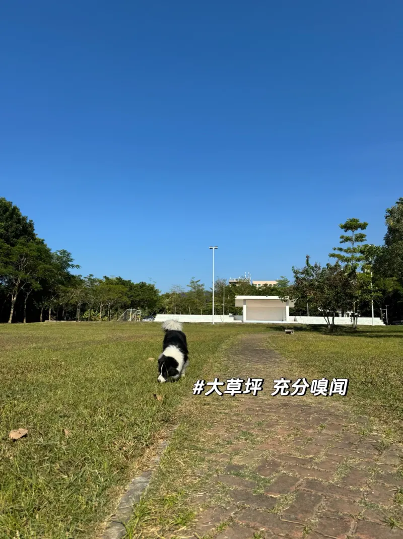 迳口社区公园的地点照片