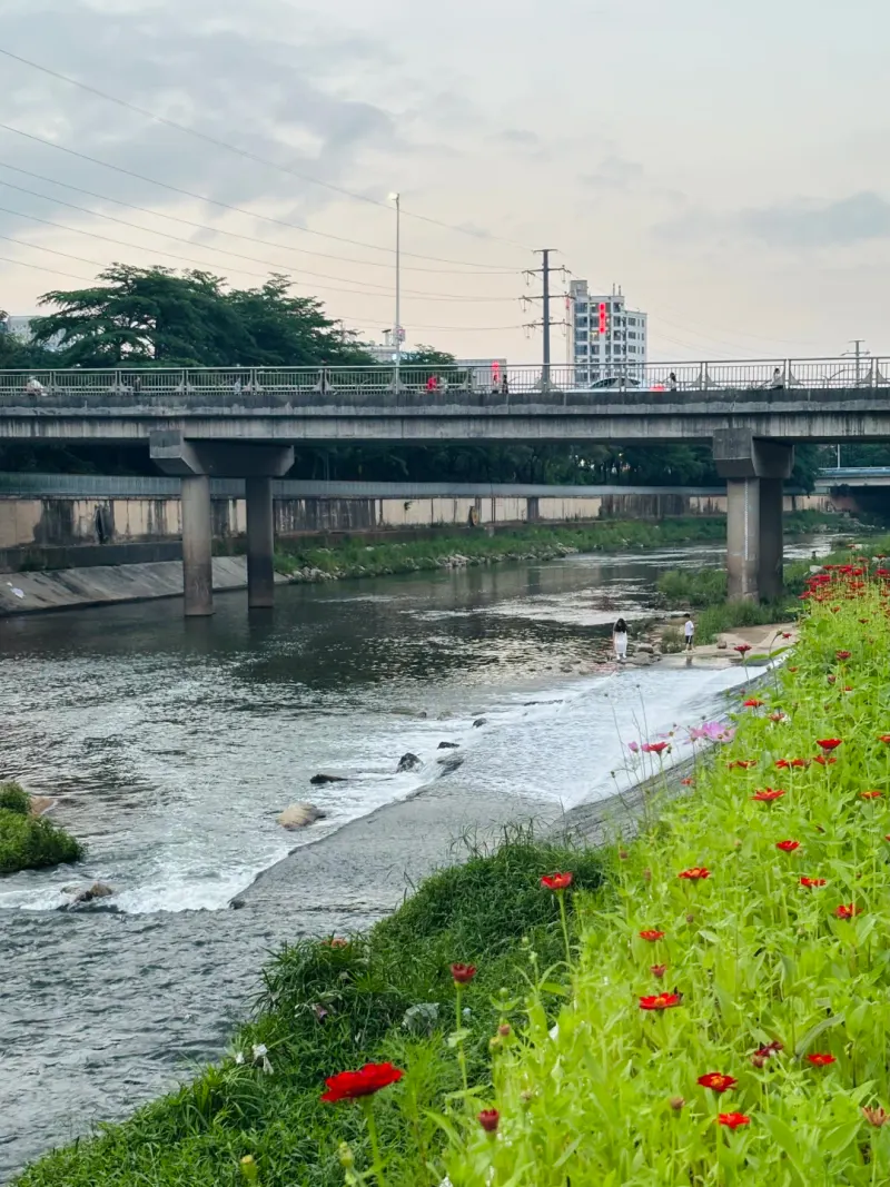 观澜河碧道·清湖附近的地点照片