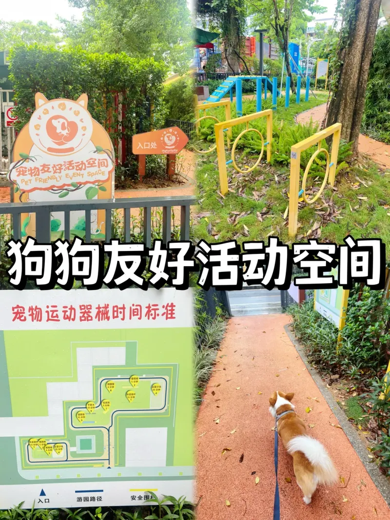 南油社区宠物公园的地点照片