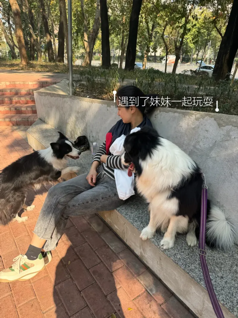 绿谷社区公园的地点照片