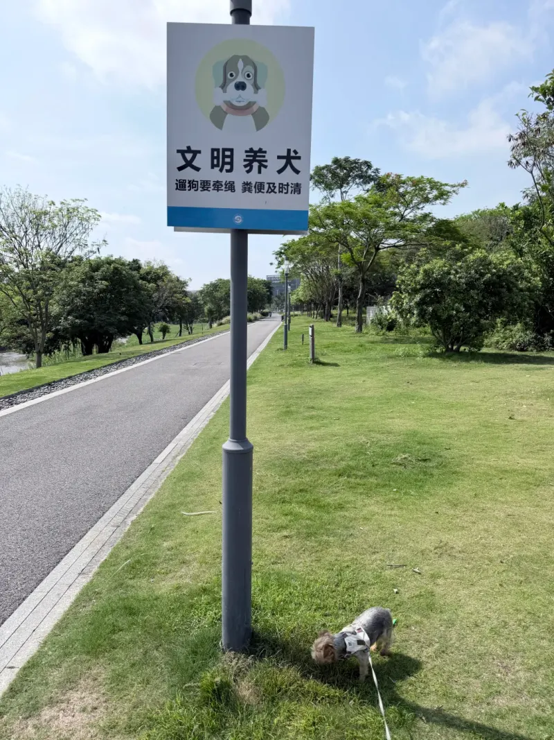 左岸科技公园的地点照片
