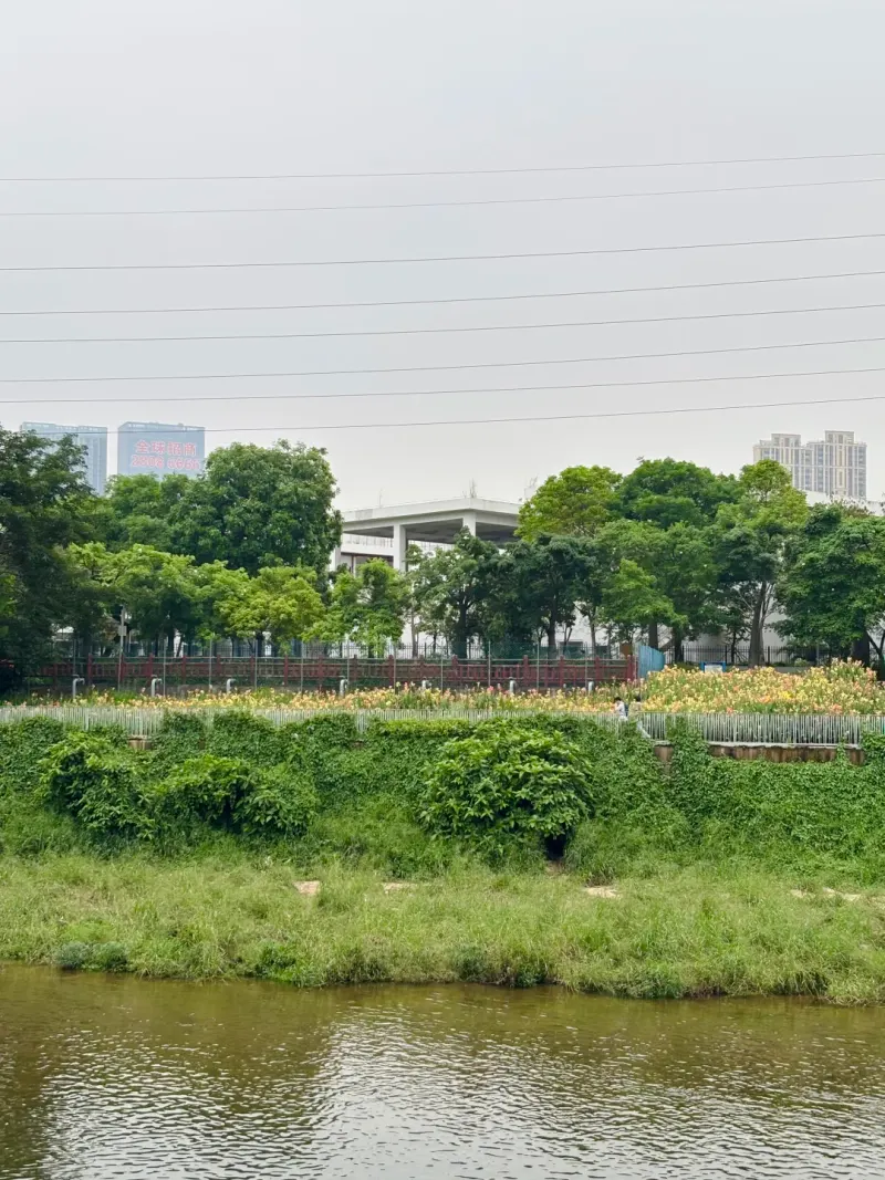 观澜河碧道·清湖附近的地点照片