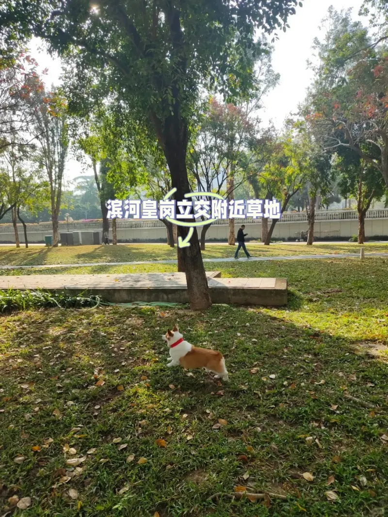 绿谷社区公园的地点照片