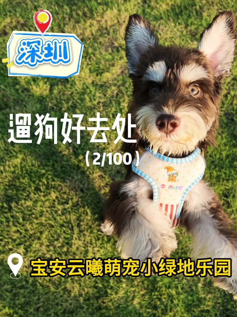 云曦萌宠绿地小游园的地点照片