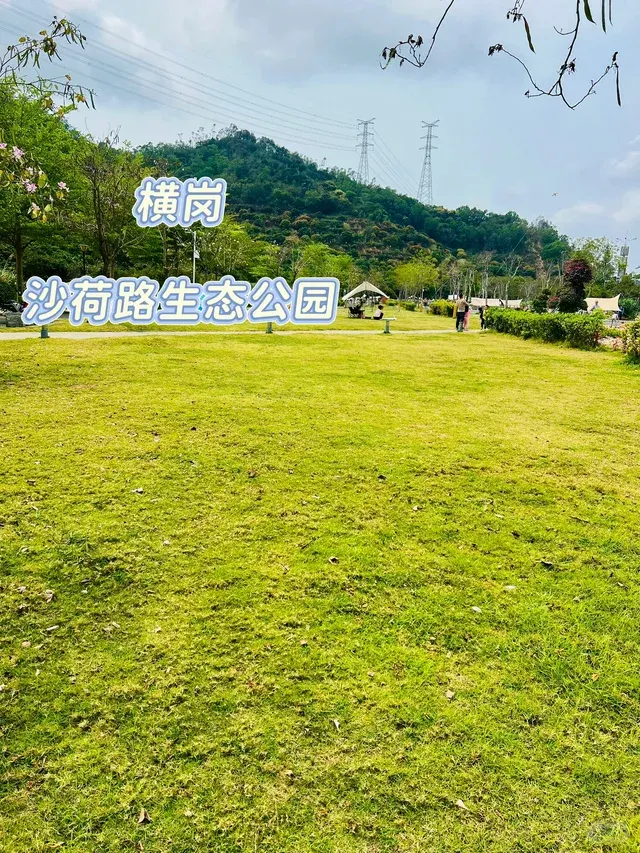 沙荷路生态公园的地点照片