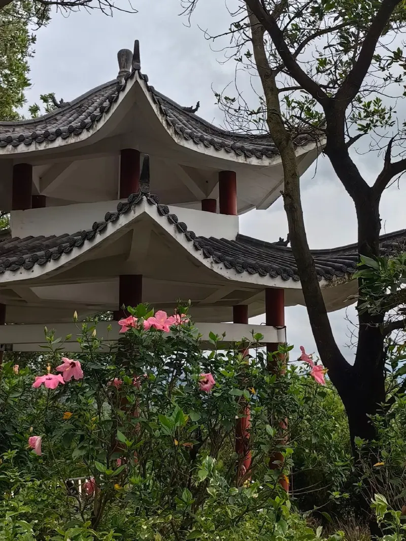 淘金山绿道的地点照片