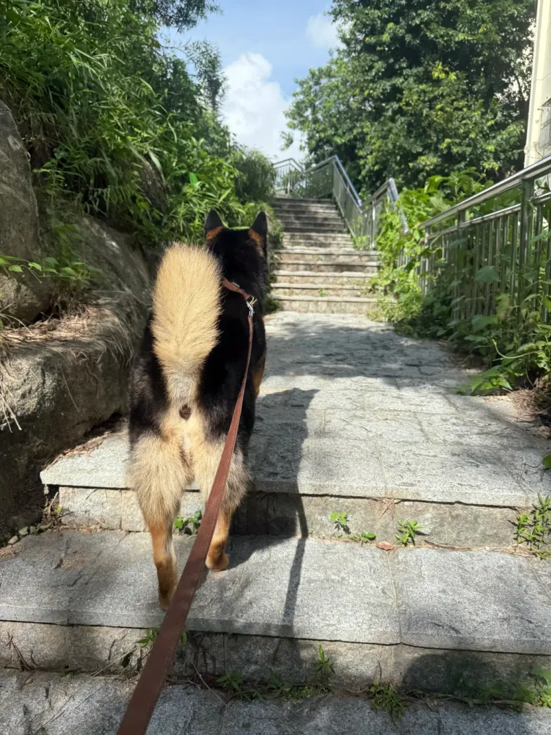 燕晗山郊野公园的地点照片