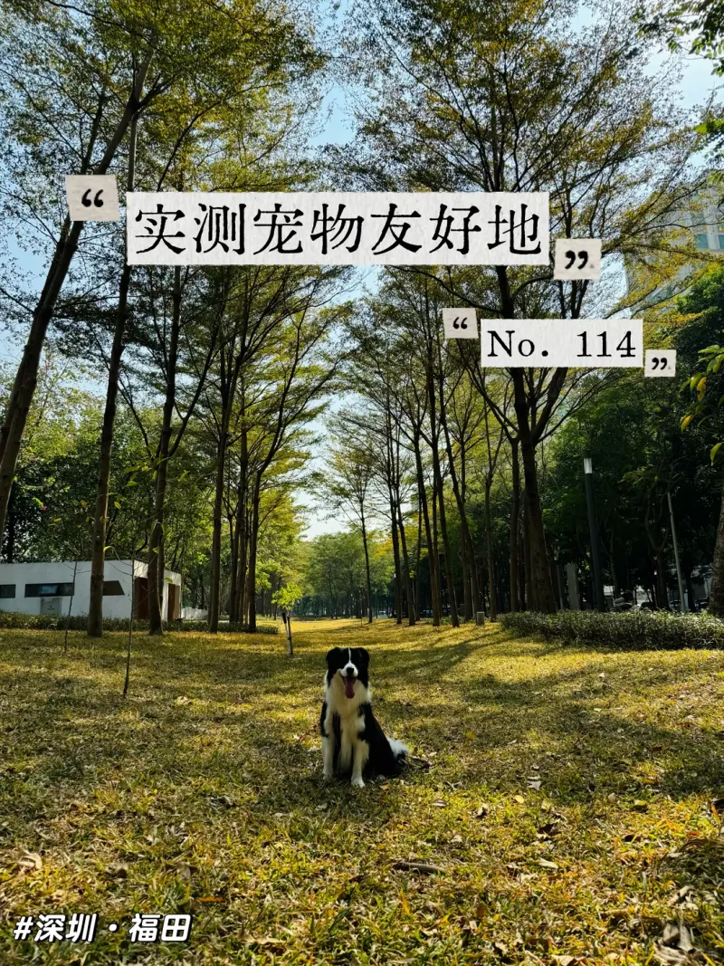 绿谷社区公园的地点照片