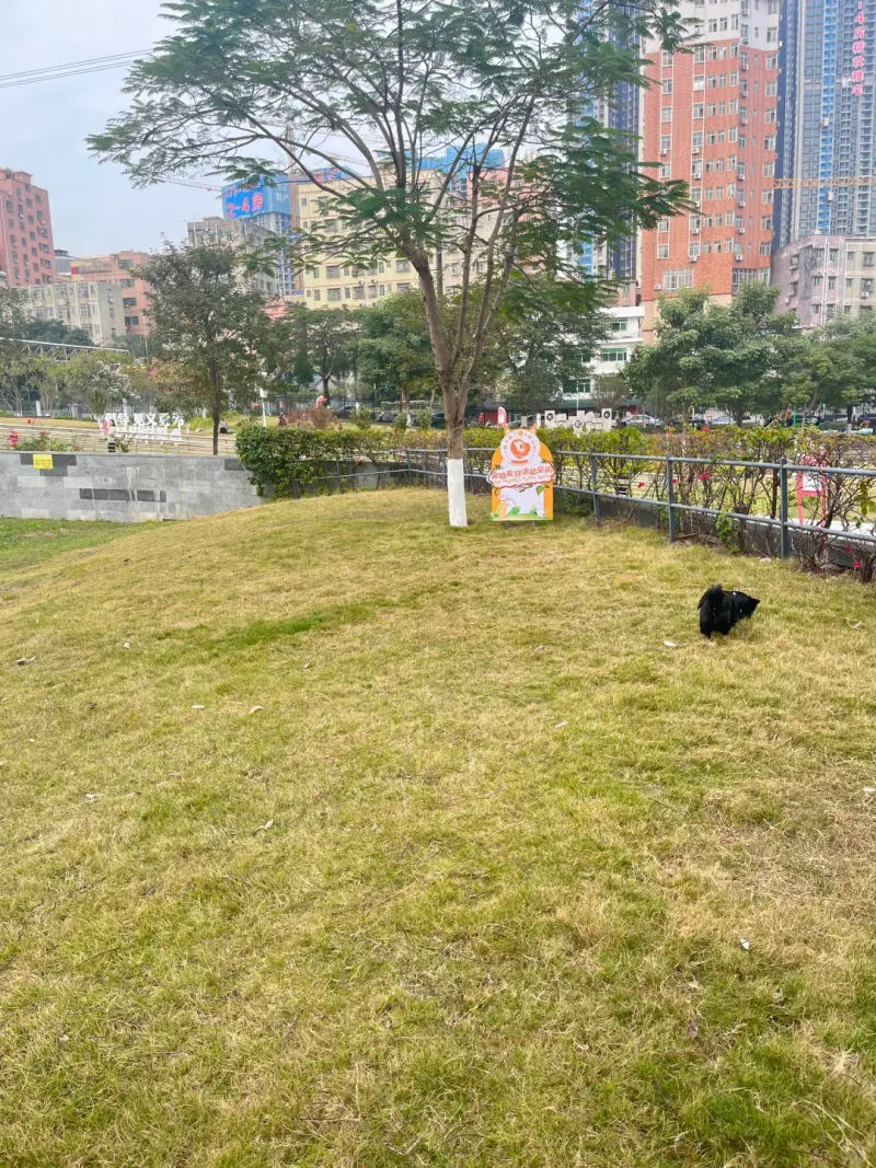 田背社区公园的地点照片