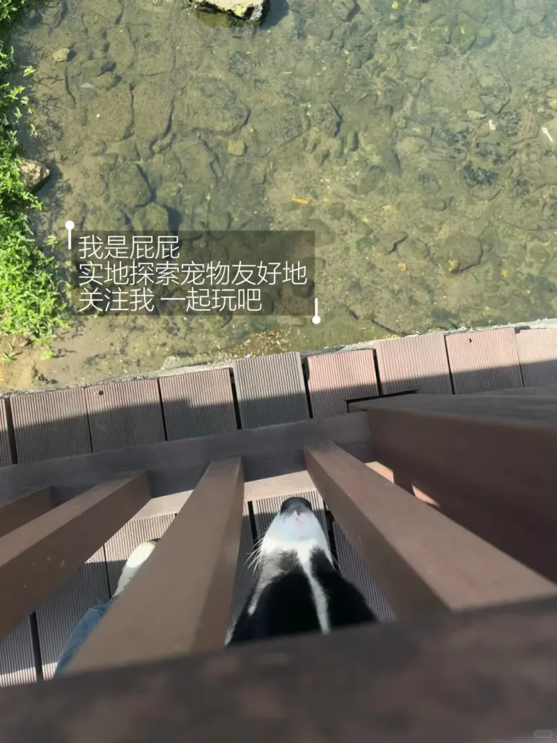 东湖公园的地点照片