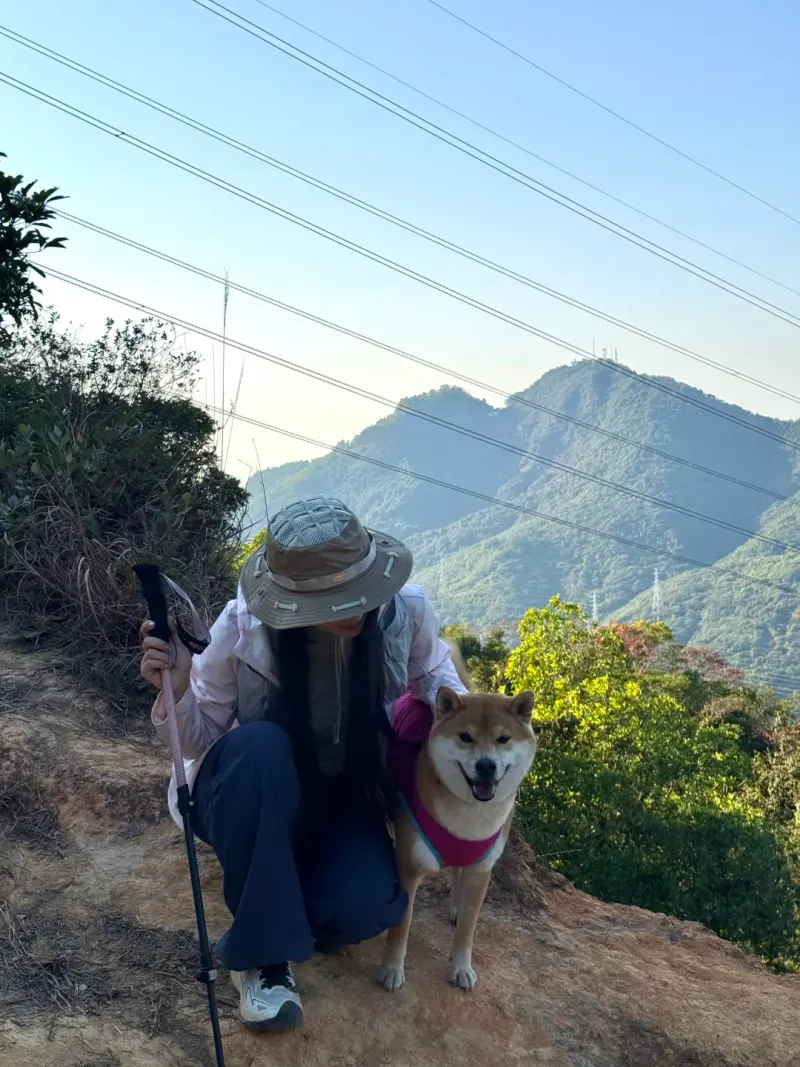 青松步道的地点照片