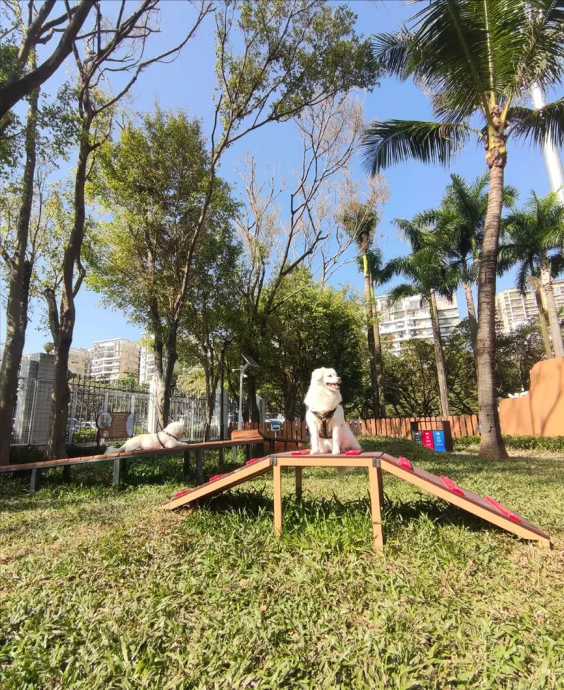 海关社区公园的地点照片