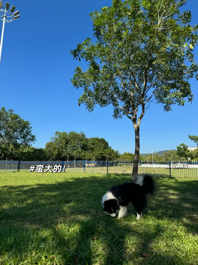 迳口社区公园的地点照片