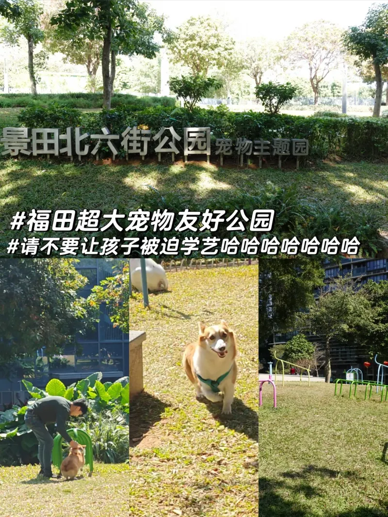 景田北六街公园宠物主题园的地点照片