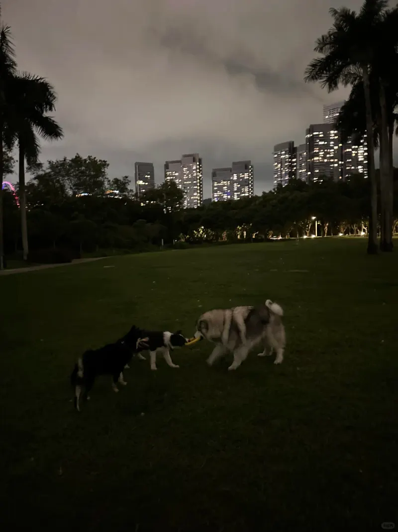 华侨城生态广场的地点照片
