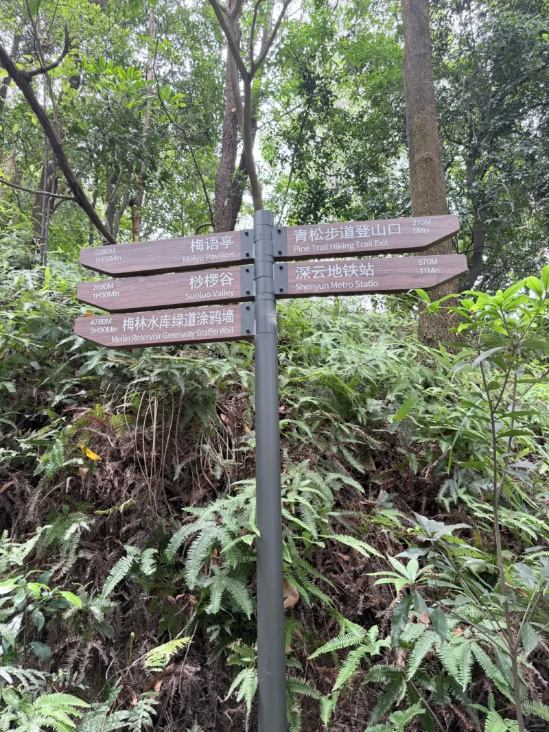 青松步道的地点照片