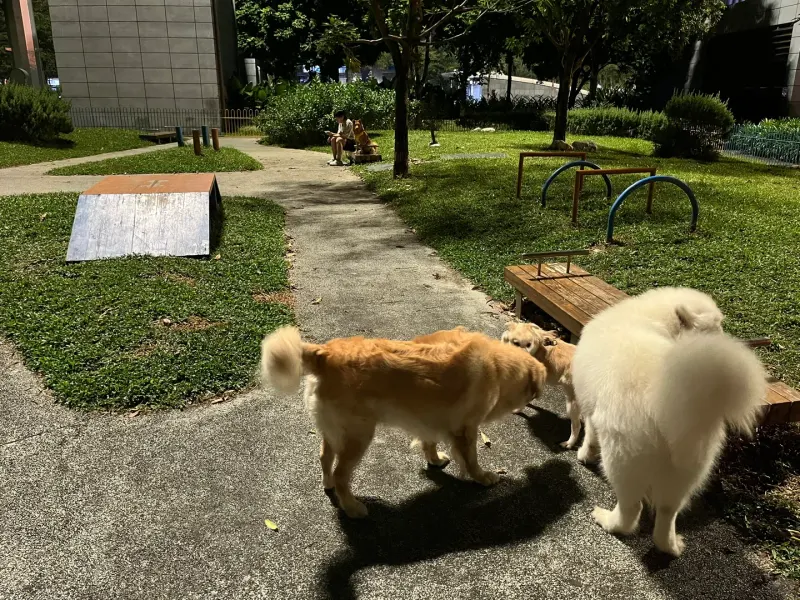 洪湖东社区公园的地点照片