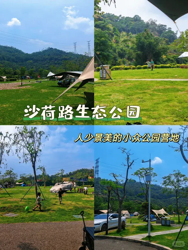沙荷路生态公园的地点照片
