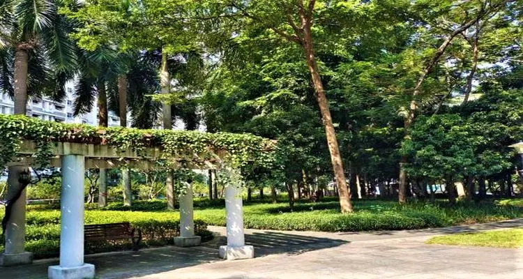桂花路都市公园的地点照片