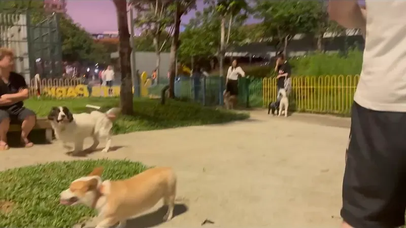 洪湖东社区公园的地点照片